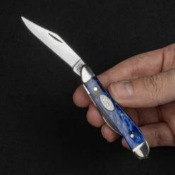 Case Peanut Blue Pearl Folding Knife -Cheap Nitecore || Victorinox || Fenix Store CA23446 30775.1688044599