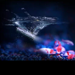 Fenix E02R 25 Fenix E02R -Cheap Nitecore || Victorinox || Fenix Store FENIX E02R BRWdet3 32938.1612446444