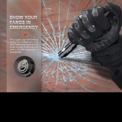 Fenix T6 Halberd V2 Pen Light -Cheap Nitecore || Victorinox || Fenix Store FENIX T6 BK v201DET4 55151.1668682723.1280.1280 20982.1670406152.1280.1280 11970.1670421014