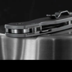 Titech Para Military 2 Plain Titanium Scales -Cheap Nitecore || Victorinox || Fenix Store HH SC P P2 55758.1636458827