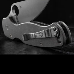 Titech Spyderco PM2 Stone Washed Titanium Scales 10 Titech Spyderco PM2 Stone Washed Titanium Scales -Cheap Nitecore || Victorinox || Fenix Store HH SC SW P2.2 78155.1635785472