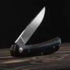 Hen And Rooster Buffalo Horn Folding Knife -Cheap Nitecore || Victorinox || Fenix Store HR5038BHdet 76967.1665146601