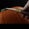 Warren Cutlery Pumpkin Carving Tool Set -Cheap Nitecore || Victorinox || Fenix Store WC3.1 01152.1633946645