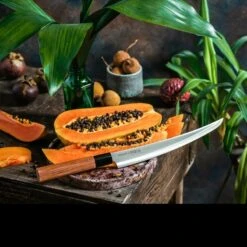 Samura Okinawa Slicing Tanto -Cheap Nitecore || Victorinox || Fenix Store tc so 0146tdet6 69051.1587419957